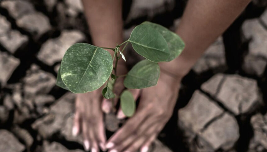 Caribbean Court to Hear Climate Justice Case Led by CariJustice